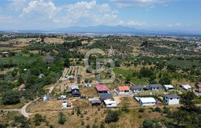 İzmir Menderes Dereköy'de Satılık Hisse Tapulu Bahçe