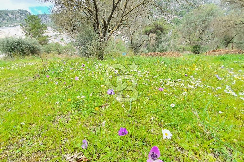 GÖKOVA'DA ASFALT YOLA CEPHE, GÖKOVA YA 300 M SATILIK TARLA