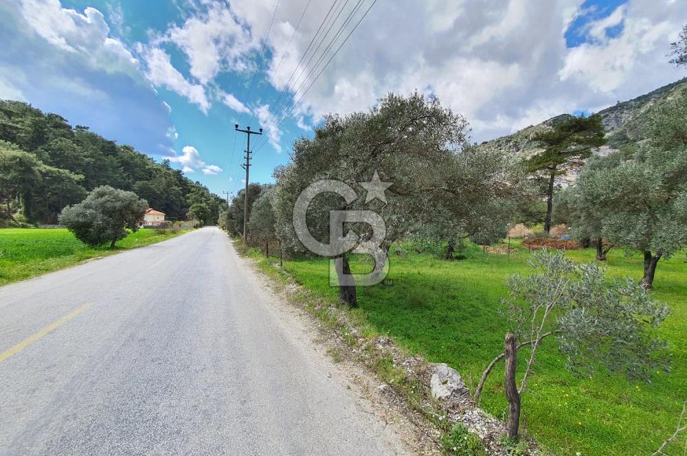 GÖKOVA'DA ASFALT YOLA CEPHE, GÖKOVA YA 300 M SATILIK TARLA