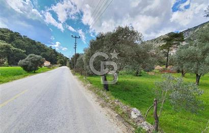 GÖKOVA'DA ASFALT YOLA CEPHE, GÖKOVA YA 300 M SATILIK TARLA