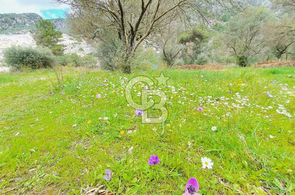 GÖKOVA'DA ASFALT YOLA CEPHE, GÖKOVA YA 300 M SATILIK TARLA
