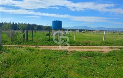 İzmir Menderes Bulgurcada Satılık Hisse Tapulu Tarla
