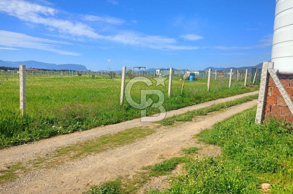 İzmir Menderes Bulgurcada Satılık Hisse Tapulu Tarla