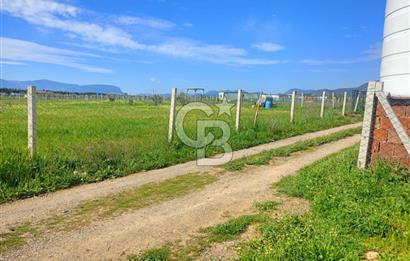 İzmir Menderes Bulgurcada Satılık Hisse Tapulu Tarla
