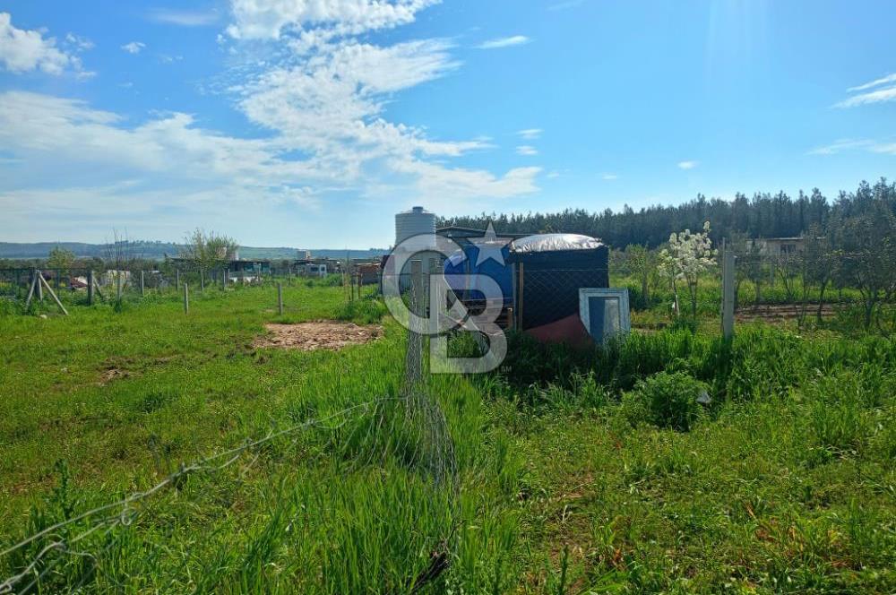 İzmir Menderes Bulgurcada Satılık Hisse Tapulu Tarla