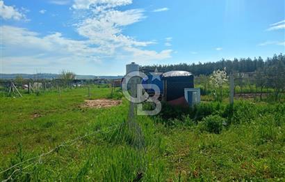 İzmir Menderes Bulgurcada Satılık Hisse Tapulu Tarla