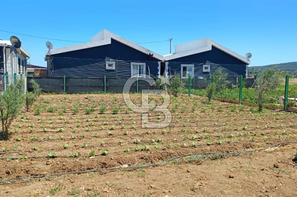 Satılık 322 m² Hisse tapulu Bahçe