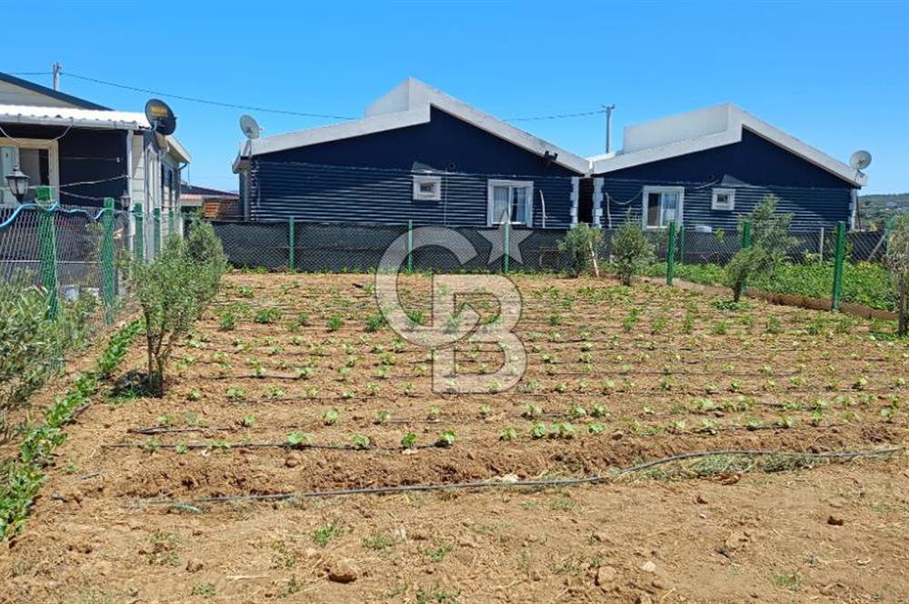 Satılık 322 m² Hisse tapulu Bahçe