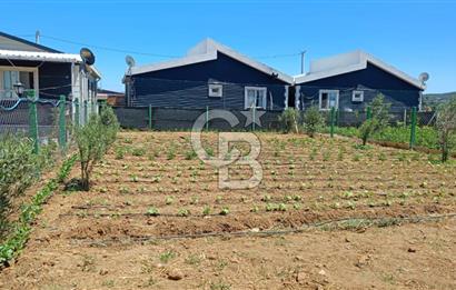 Satılık 322 m² Hisse tapulu Bahçe