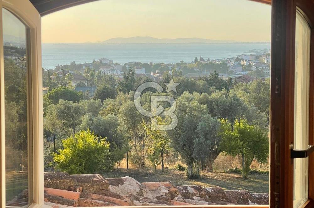 Darıca' da Özel Mimari Tasarımlı Havuzlu İkiz Villa