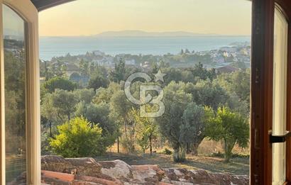 Darıca' da Özel Mimari Tasarımlı Havuzlu İkiz Villa