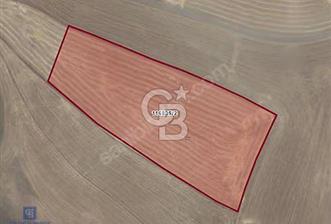 Mahmatlı'da Yatırımlık 290 m² Bahçe - Doğayla İç İçe Yaşam - 9 - 371369