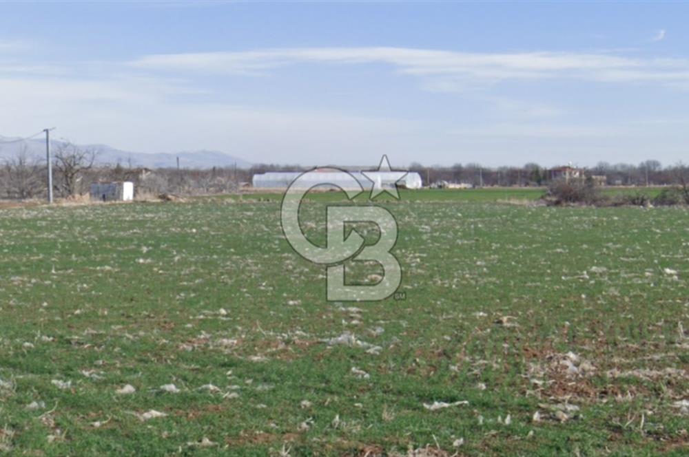 KEMERHİSAR ÇAYIR MEVKİİNDE 497 M² VİLLALIK ARSA – YATIRIM FIRSATI