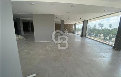 Adana Öğretmenler Bulvarı'nda 1.000 m² Satılık Prestijli Ticari
