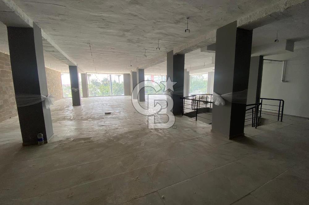 Adana Öğretmenler Bul Groseri yanı 1.000 m² Kiralık İş Yeri