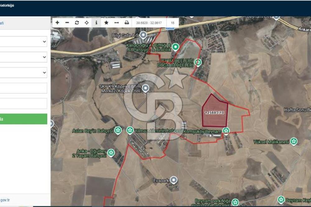 Beynam Ormanlarına Komşu 1/5000 İmar Planı İçerisinde Satılık 470 m2 Hisse