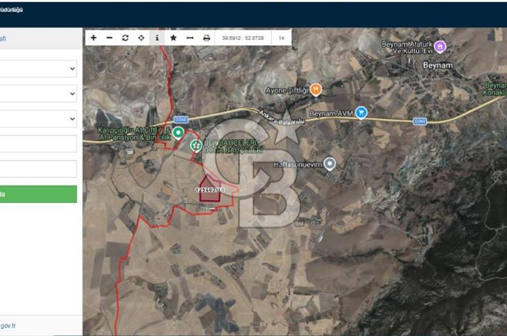 Beynam Ormanlarına Komşu 1/5000 İmar Planı İçerisinde Satılık 470 m2 Hisse