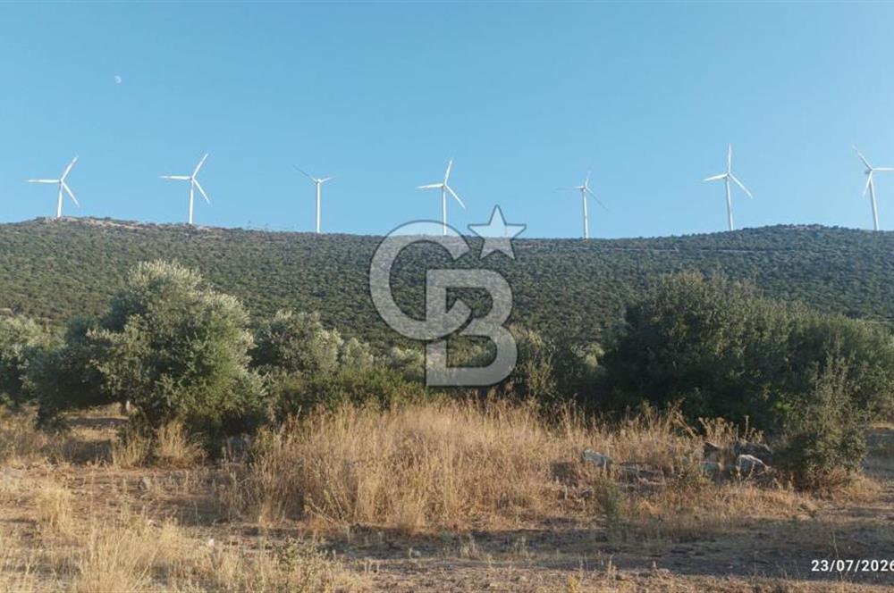 Aydın Didim Ak-Yeniköy'de Satılık Arsa