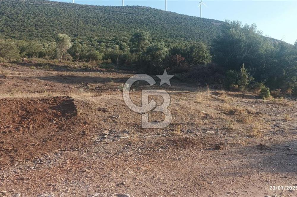 Aydın Didim Ak-Yeniköy'de Satılık Arsa