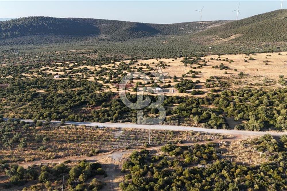 Aydın Didim Ak-Yeniköy'de Satılık Arsa