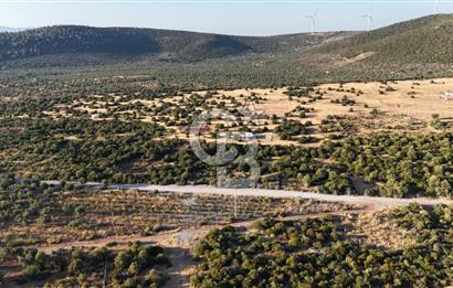 Aydın Didim Ak-Yeniköy'de Satılık Arsa
