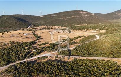 Aydın Didim Ak-Yeniköy'de Satılık Arsa