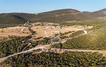 Aydın Didim Ak-Yeniköy'de Satılık Arsa