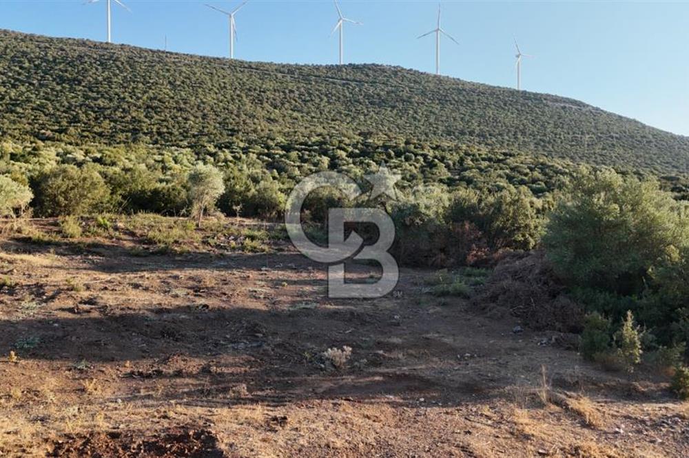 Aydın Didim Ak-Yeniköy'de Satılık Arsa