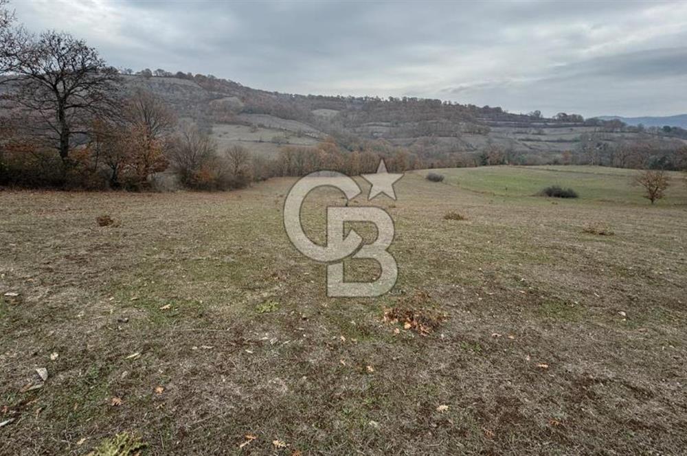 ÇAN HACILAR'DA KÖY YERLEŞİMİNE YAKIN 9.465 m² MÜSTAKİL TAPULU TARLA