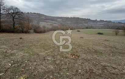 ÇAN HACILAR'DA KÖY YERLEŞİMİNE YAKIN 9.465 m² MÜSTAKİL TAPULU TARLA