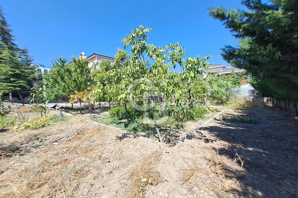 YENİ BAĞLICA DA 1230 M² ARSA İÇİN DE 314 M² TRİPLEKS VİLLA