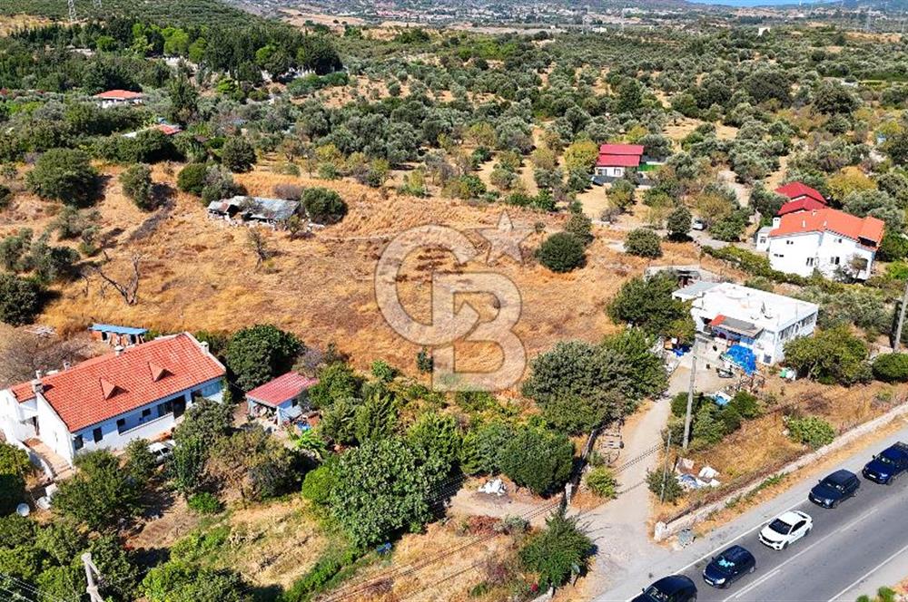 Datça Reşadiye'de İmar Sınırında 3.480 m² Bademlik