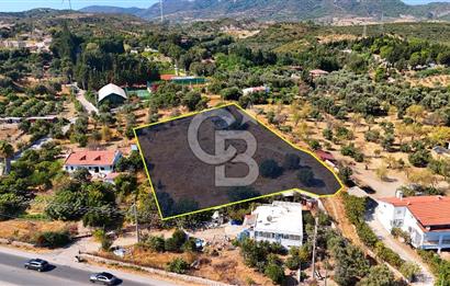 Datça Reşadiye'de İmar Sınırında 3.480 m² Bademlik