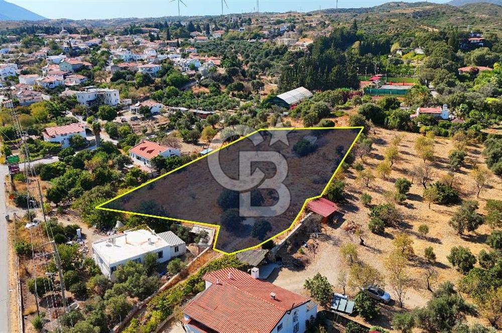 Datça Reşadiye'de İmar Sınırında 3.480 m² Bademlik