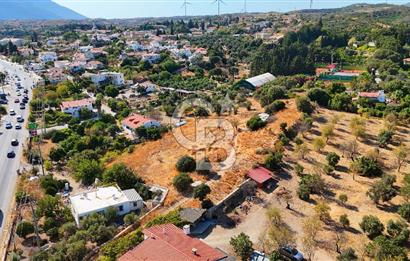 Datça Reşadiye'de İmar Sınırında 3.480 m² Bademlik