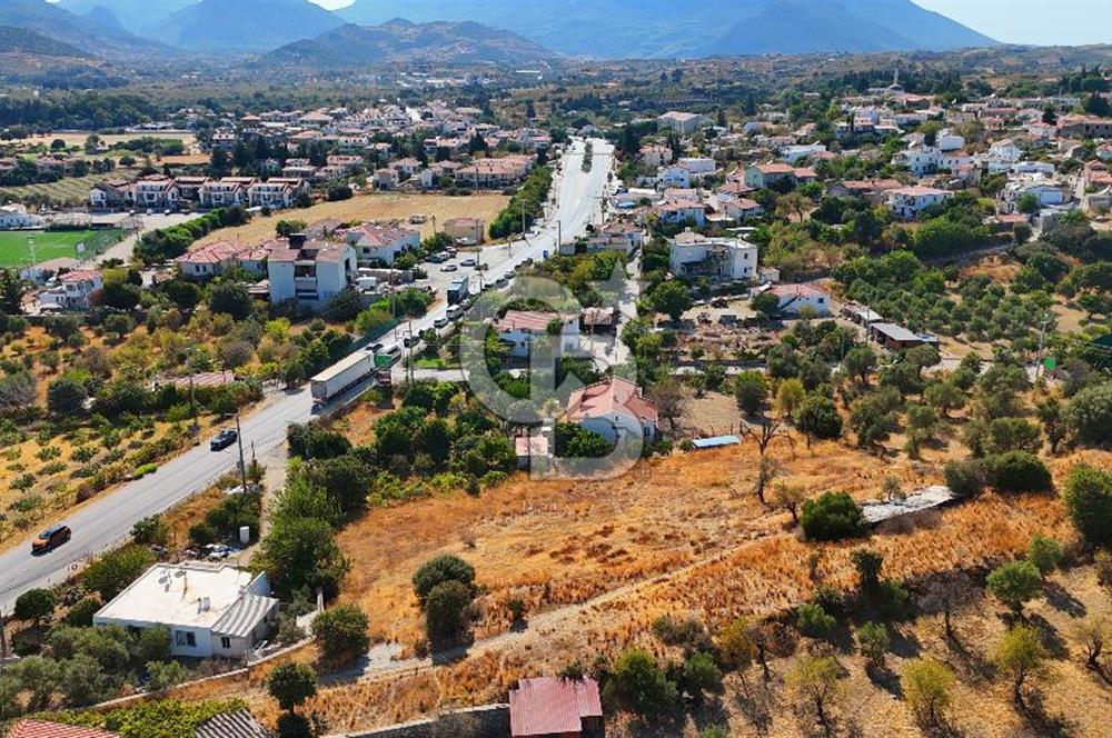 Datça Reşadiye'de İmar Sınırında 3.480 m² Bademlik