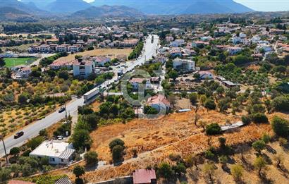 Datça Reşadiye'de İmar Sınırında 3.480 m² Bademlik