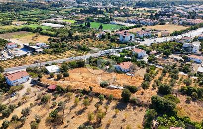 Datça Reşadiye'de İmar Sınırında 3.480 m² Bademlik