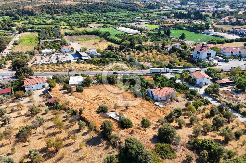 Datça Reşadiye'de İmar Sınırında 3.480 m² Bademlik