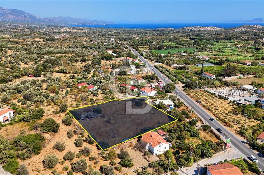 Datça Reşadiye'de İmar Sınırında 3.480 m² Bademlik