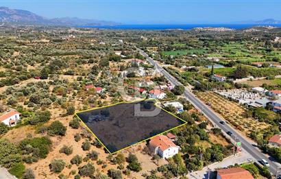 Datça Reşadiye'de İmar Sınırında 3.480 m² Bademlik