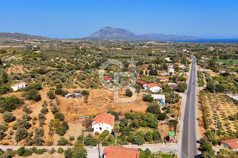 Datça Reşadiye'de İmar Sınırında 3.480 m² Bademlik