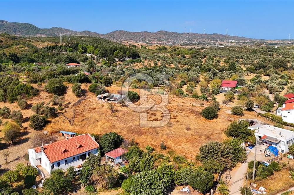 Datça Reşadiye'de İmar Sınırında 3.480 m² Bademlik