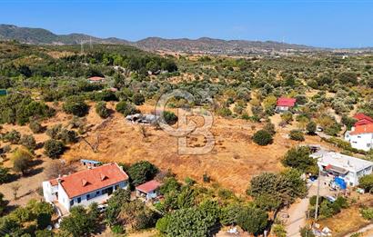 Datça Reşadiye'de İmar Sınırında 3.480 m² Bademlik