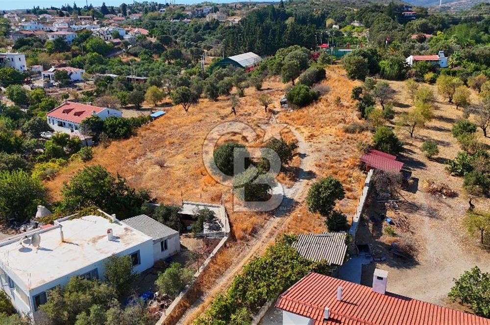 Datça Reşadiye'de İmar Sınırında 3.480 m² Bademlik