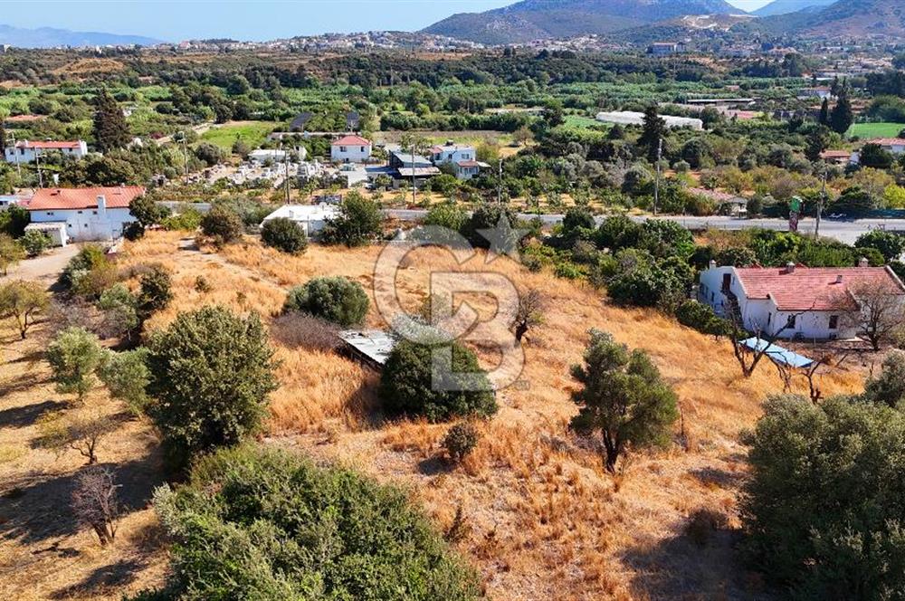 Datça Reşadiye'de İmar Sınırında 3.480 m² Bademlik