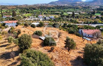Datça Reşadiye'de İmar Sınırında 3.480 m² Bademlik