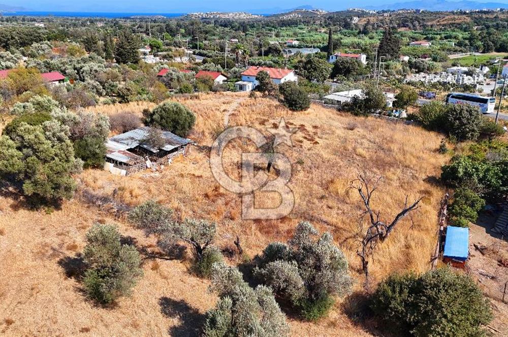 Datça Reşadiye'de İmar Sınırında 3.480 m² Bademlik
