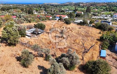 Datça Reşadiye'de İmar Sınırında 3.480 m² Bademlik
