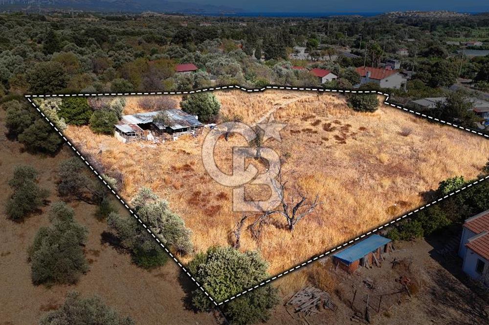 Datça Reşadiye'de İmar Sınırında 3.480 m² Bademlik